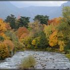 Indian Summer in Meran