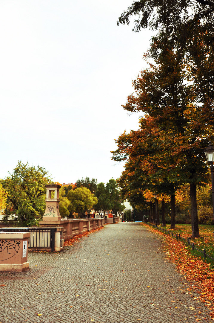 Indian Summer in Neukölln 3