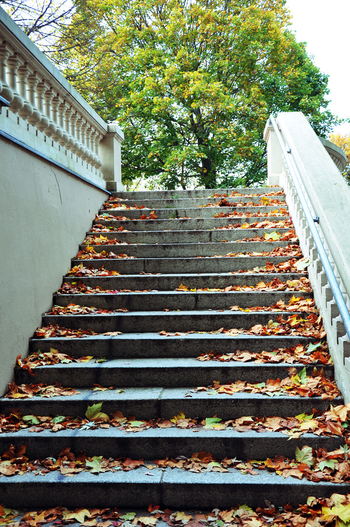 Indian Summer in Neukölln 4