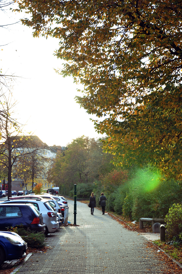 Indian Summer in Neukölln 5