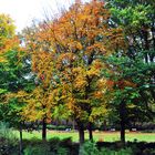 Indian Summer in Neukölln