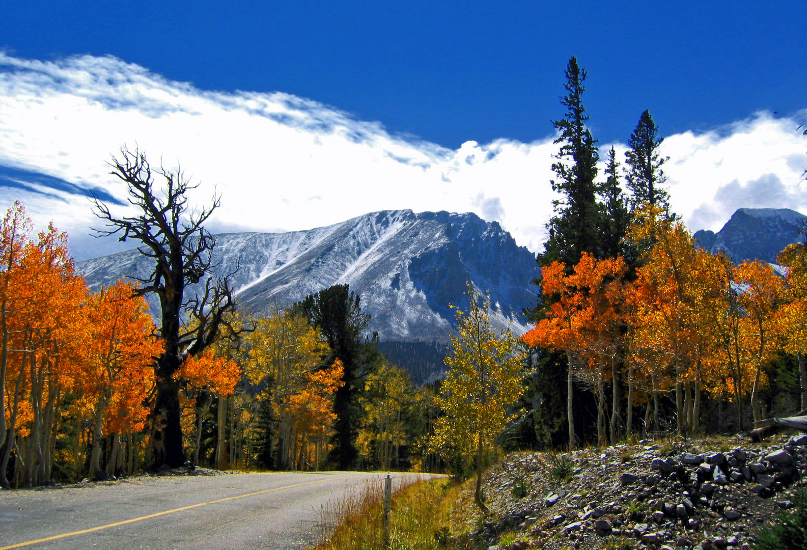 INDIAN SUMMER IN NEVADA....