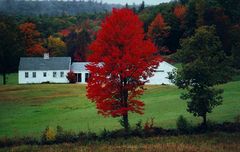 Indian summer in New-England (2)