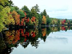 Indian summer in New-England (6)