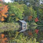 Indian Summer in New England