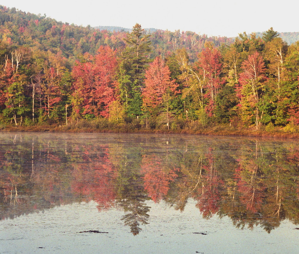 Indian summer in New Hampshire