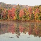 Indian summer in New Hampshire