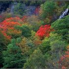 Indian Summer in New Hampshire, USA