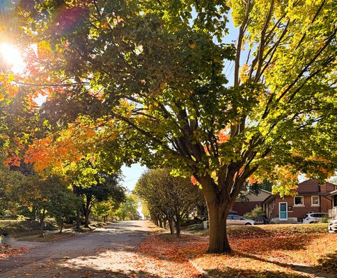 Indian Summer in Niagara-on-the-Lake