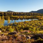 indian summer in Nordschweden