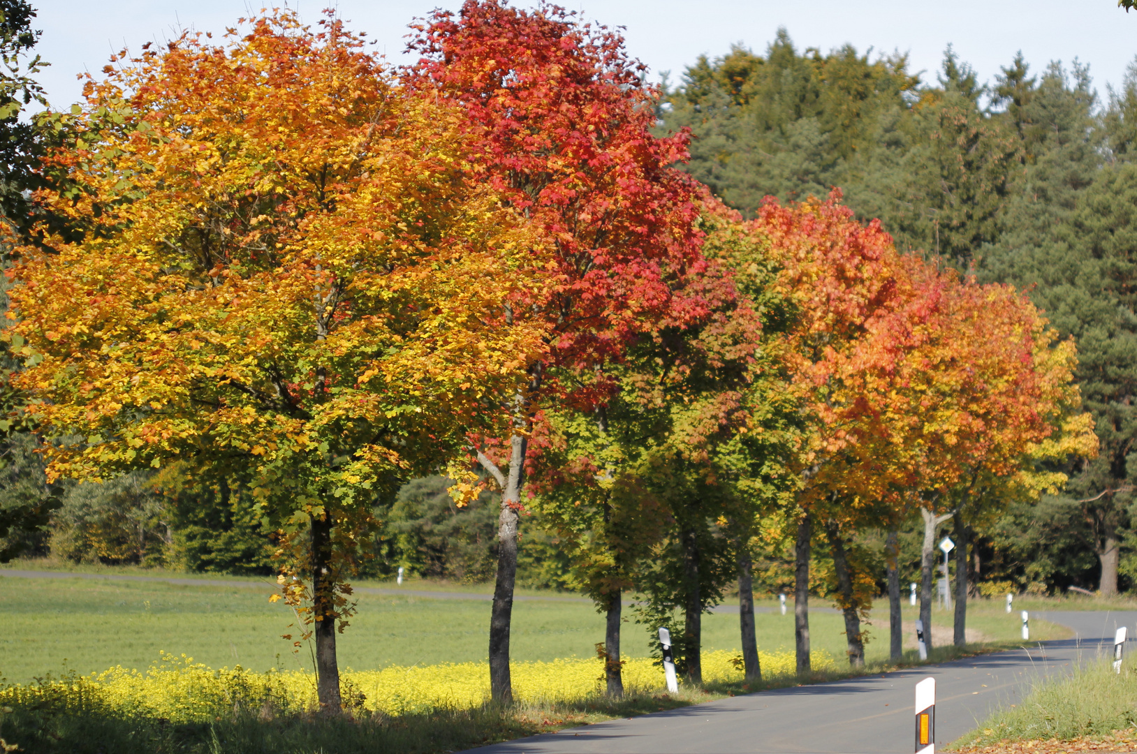 Indian Summer in North Bavarian