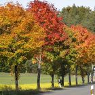 Indian Summer in North Bavarian