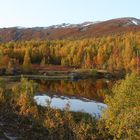 Indian Summer in Norway