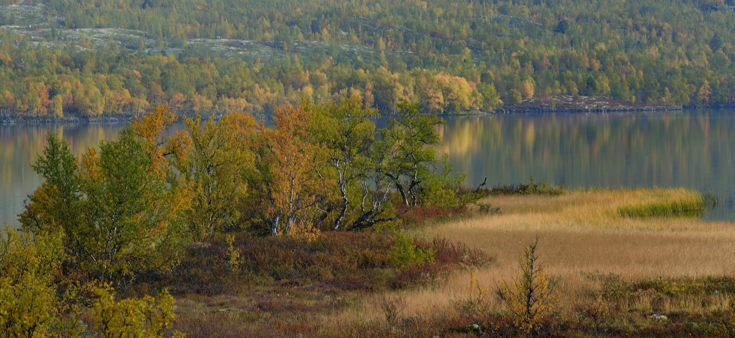 Indian Summer in Norwegen, September 2013_01