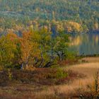 Indian Summer in Norwegen, September 2013_01