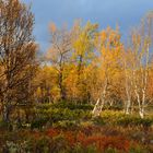 Indian Summer in Norwegen, September 2013_02