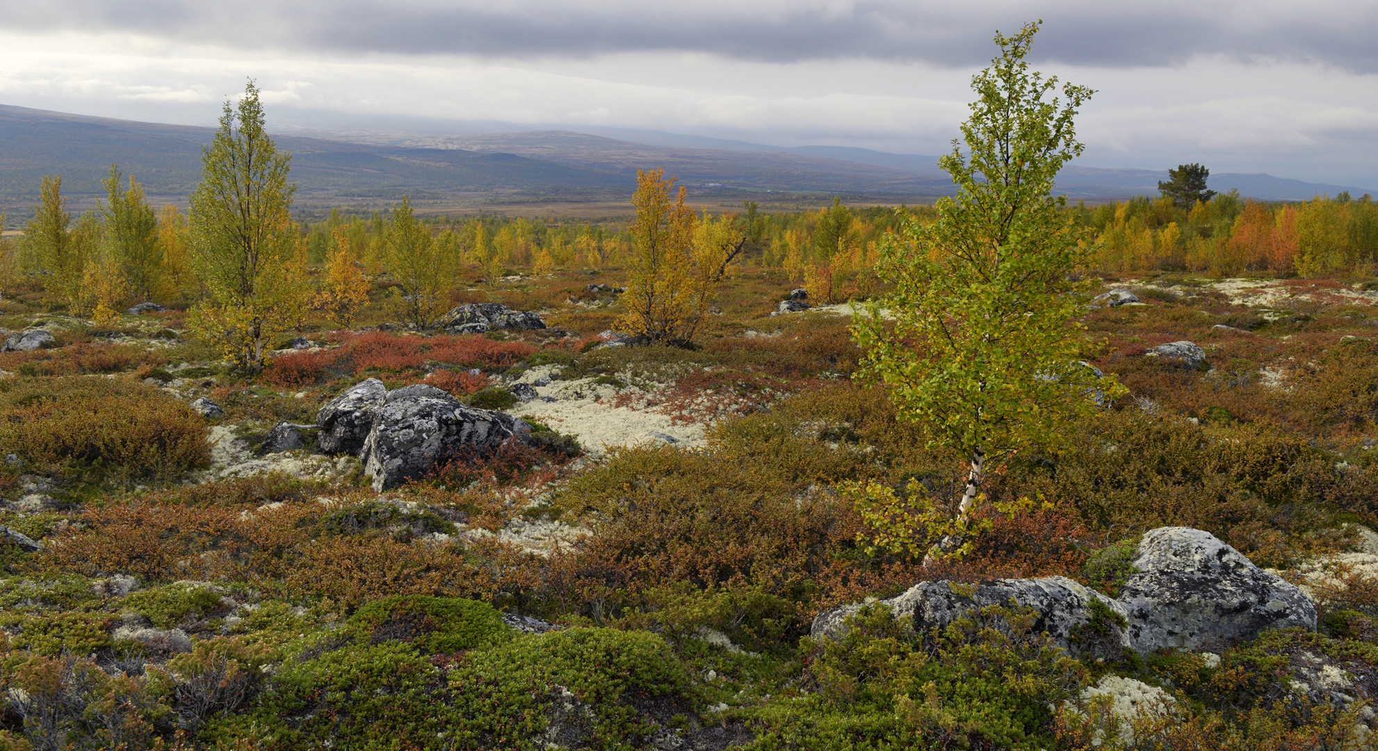 Indian Summer in Norwegen, September 2013_04