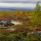 Indian Summer in Norwegen, September 2013_04