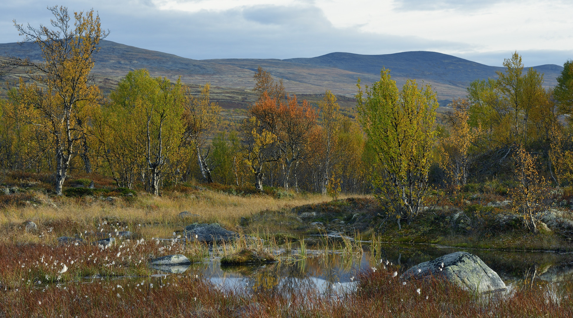 Indian Summer in Norwegen, September 2013_05