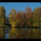 "Indian Summer" in Oberfranken...