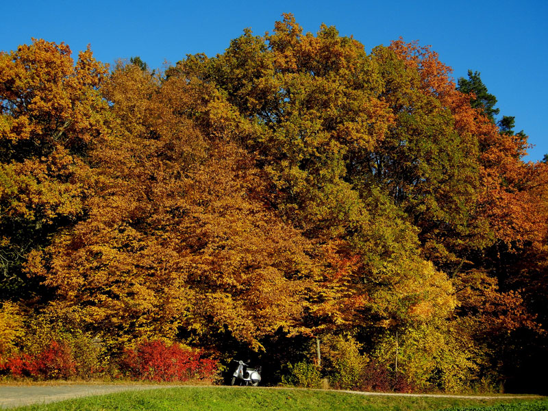 Indian Summer in Oberfranken