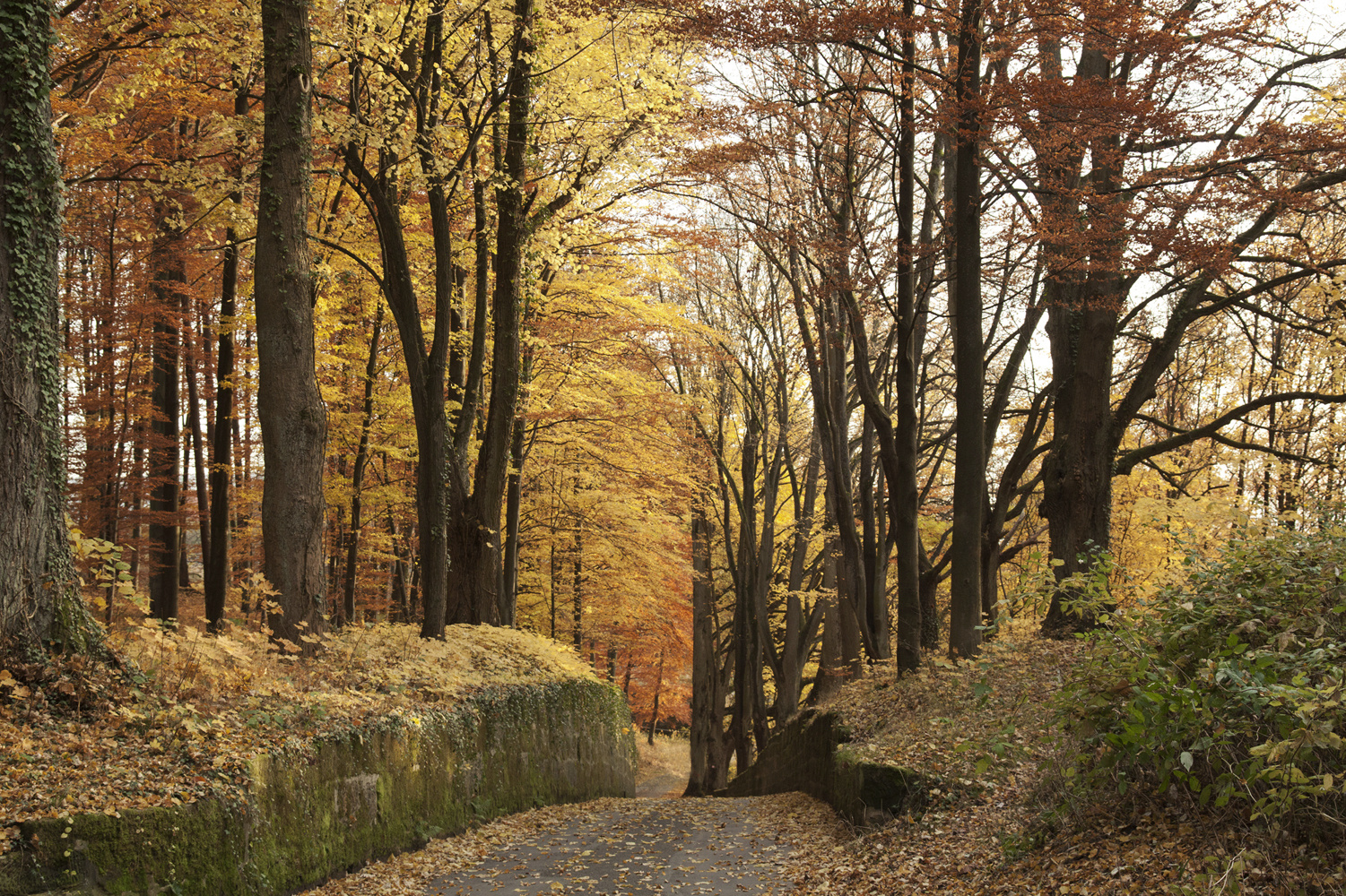 Indian Summer in Oberfranken