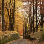 Indian Summer in Oberfranken