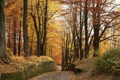 Indian Summer in Oberfranken