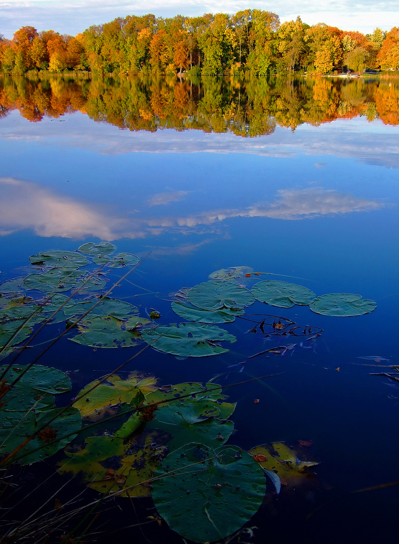 Indian Summer in Oberschwaben