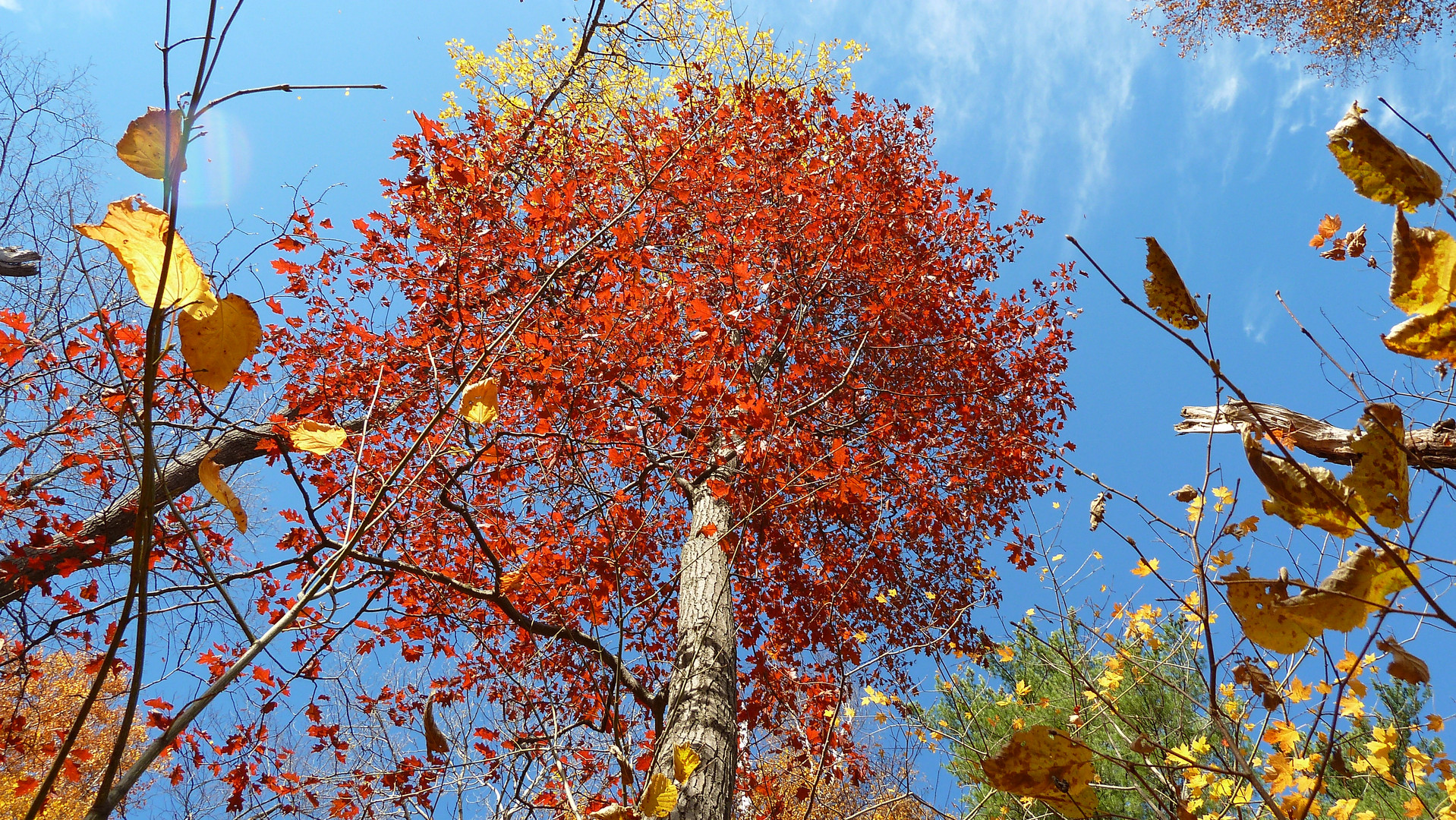 Indian Summer in Ontario