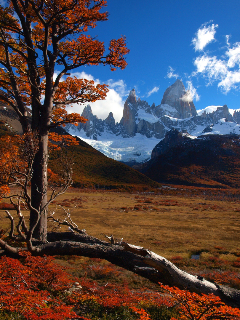 Indian Summer in Patagonia