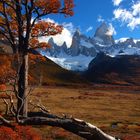 Indian Summer in Patagonia