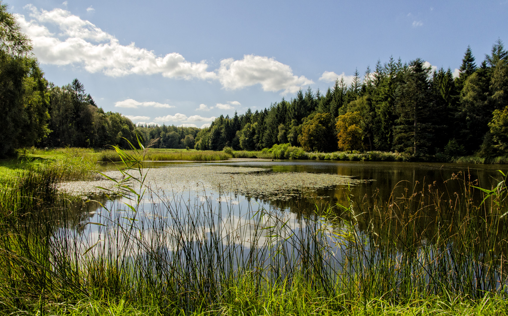 Indian Summer in Schleswig-Holstein