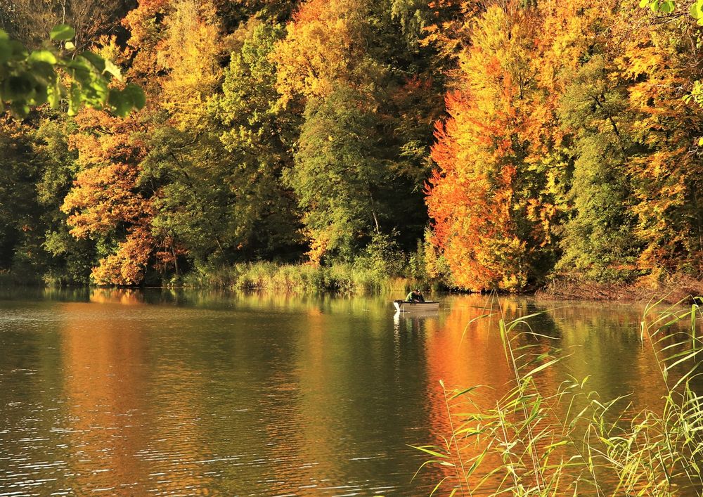 Indian Summer in Schleswig - Holstein