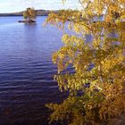 Indian Summer in Schweden