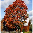 Indian Summer in Schweden