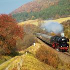 Indian Summer in Thuringia