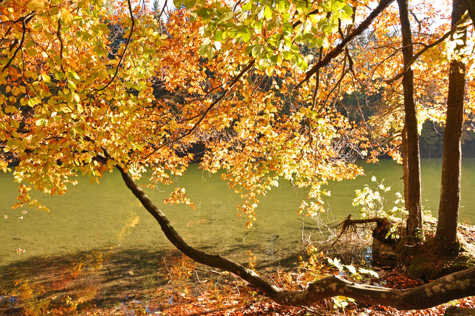 Indian Summer in Tirol 4