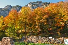 Indian Summer in Tirol 5