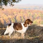 Indian Summer in Unterfranken