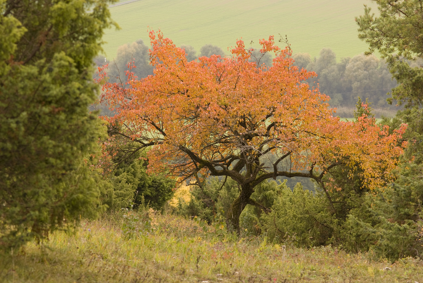 Indian-Summer in Unterfranken,