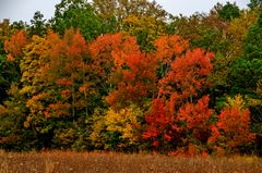 Indian Summer in Unterfranken