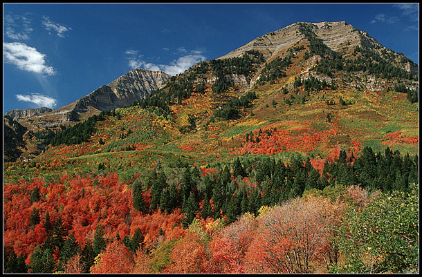 Indian Summer in Utah