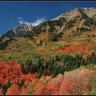 Indian Summer in Utah