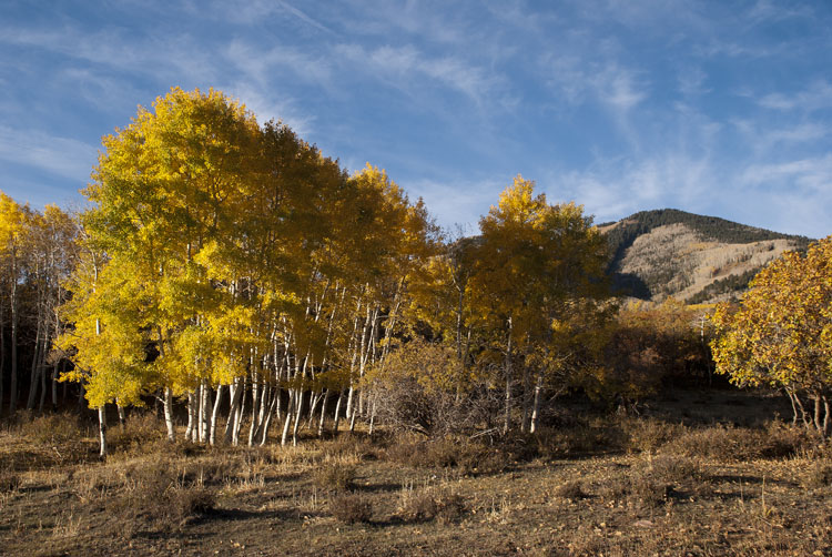 Indian Summer in Utah