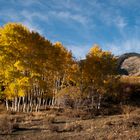 Indian Summer in Utah