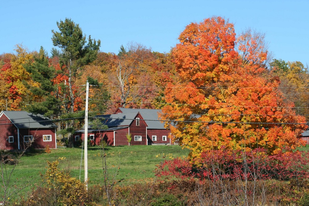 Indian Summer in Vermont, USA