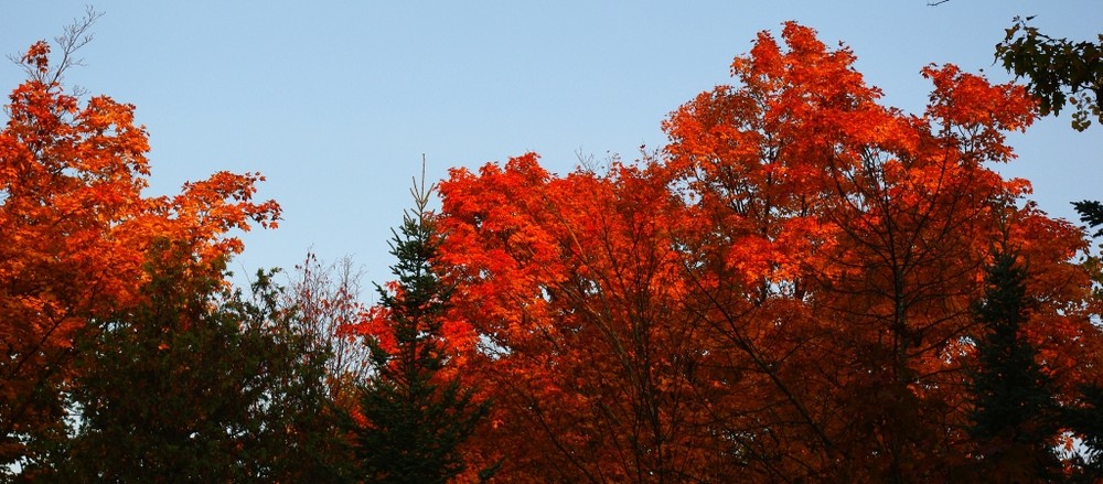 indian summer in vollendung