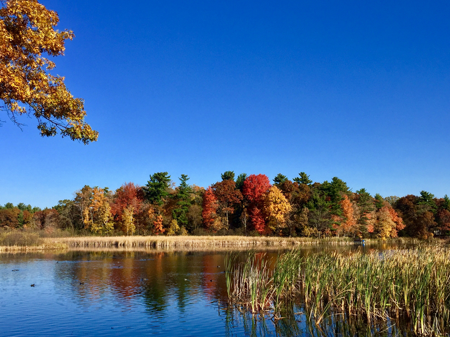 Indian Summer in Wisconsin 