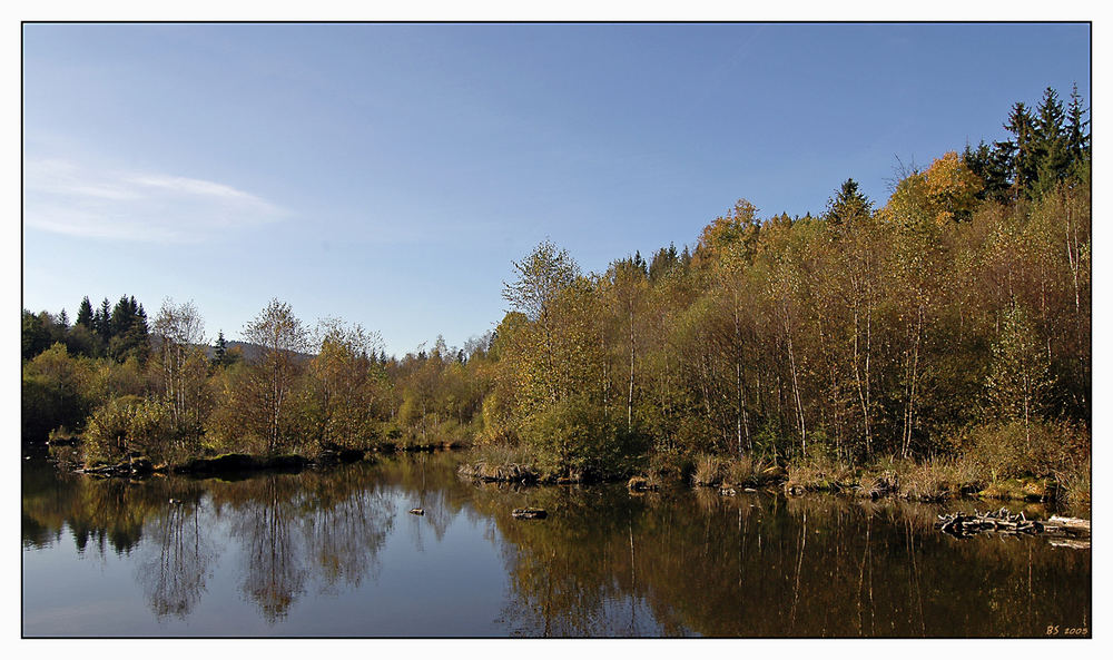 Indian Summer in Wittgenstein... - 1